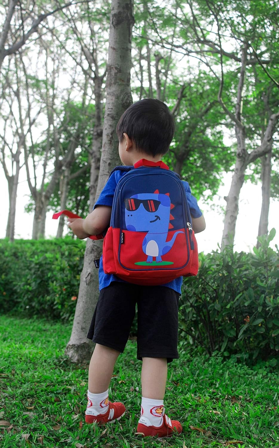 Kids Toddler Preschool Travel Backpack Cool Cute Cartoon Waterproof Daypack (Dinosaur Red)